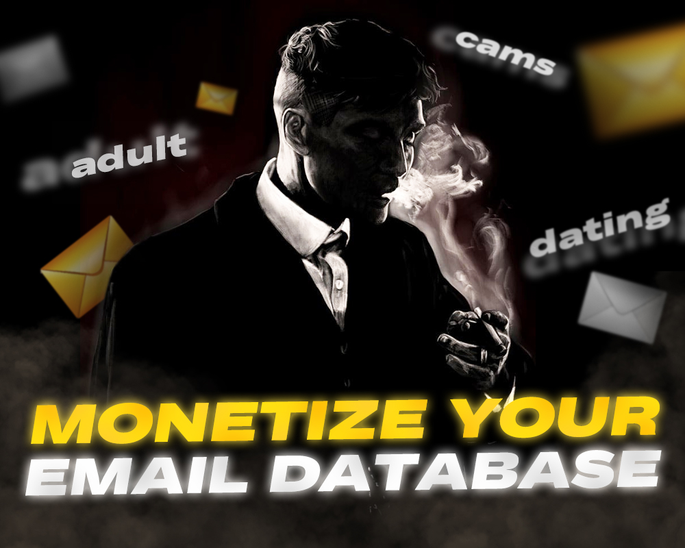 Monetize your email database